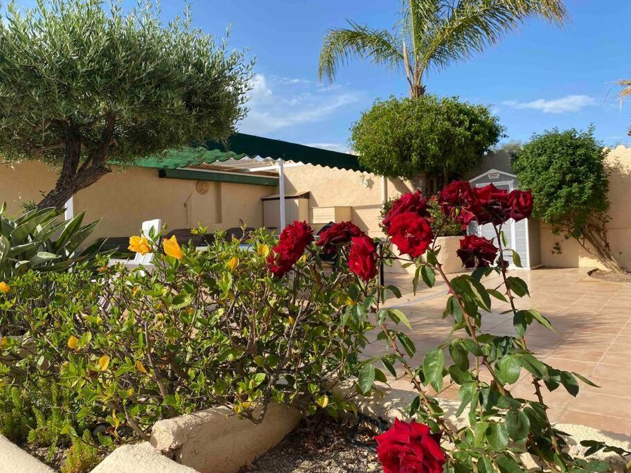 Villa Los Faramondos Naturehouse Turre Exterior foto
